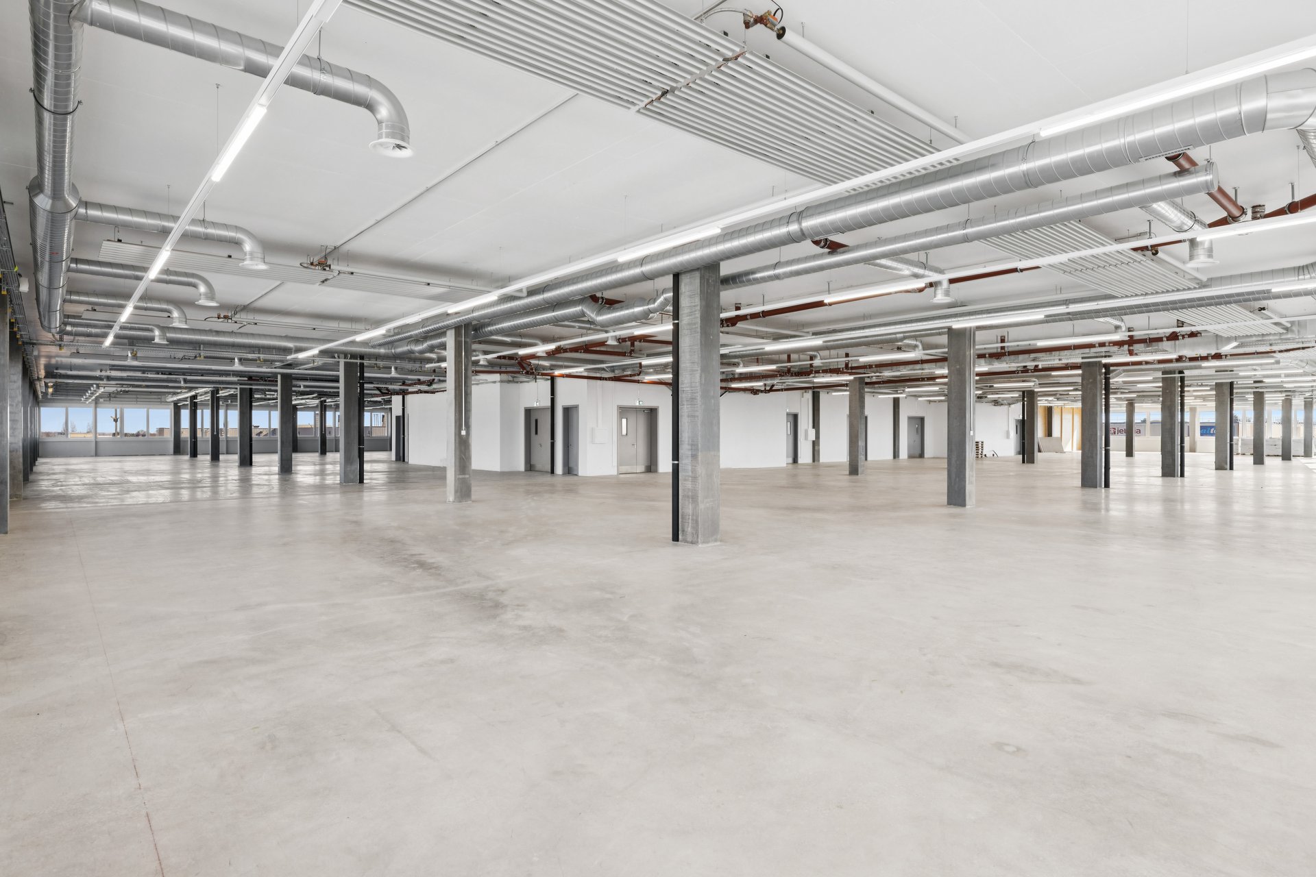 602172 A Backbonephoto 013