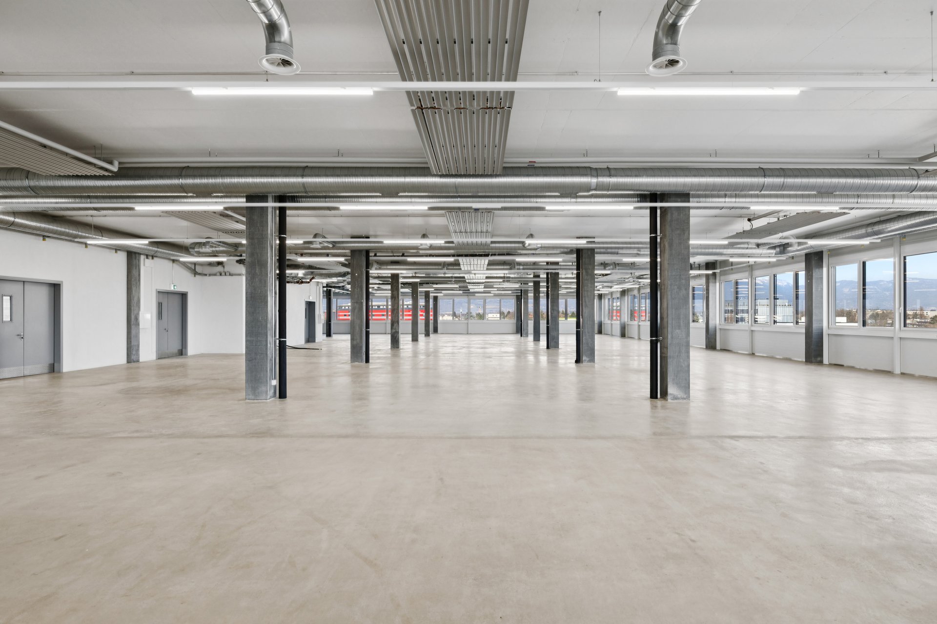 602172 A Backbonephoto 025